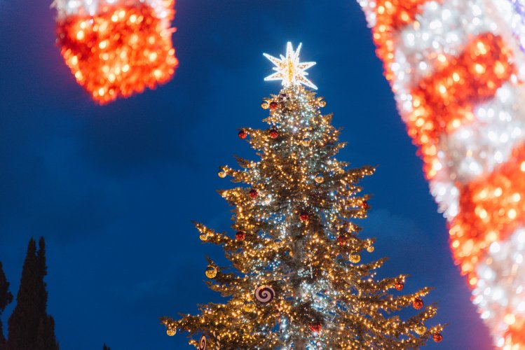 A tall Christmas tree with twinkling lights and ornaments, standing against a dark blue sky. Candy cane lights frame the tree on either side.